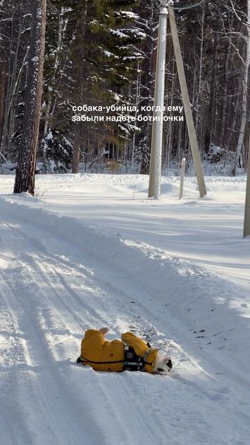 Где мои ботиночки 😒?))