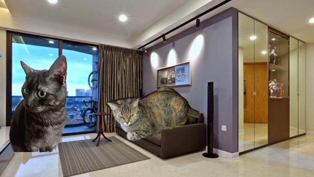 Сериал пряник и алиска(продолжение)2 часть