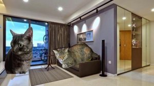 Сериал пряник и алиска(продолжение)2 часть