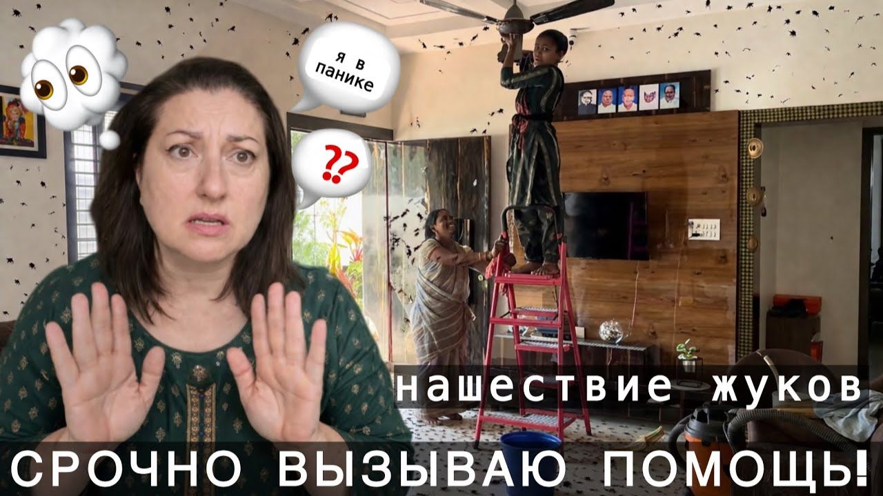 Привет Я Индия - УЗНАЛА НЕУДОБНУЮ ПРАВДУ ТЕПЕРЬ СЕМЬЯ СМОТРИТ КОСО ! Я В ПАНИКЕ НАШЕСТВИЕ ЖУКОВ!