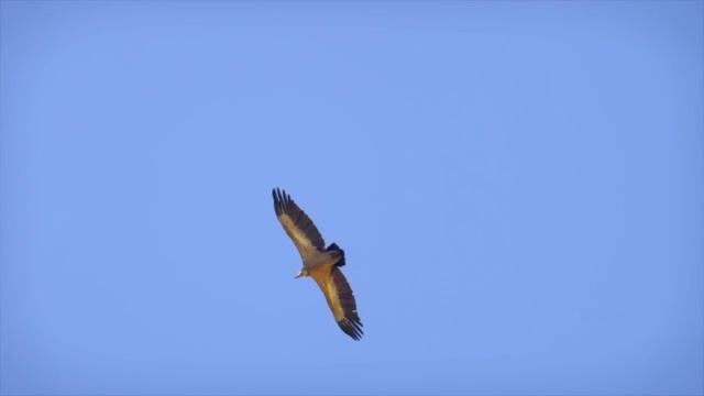 Утро в горах