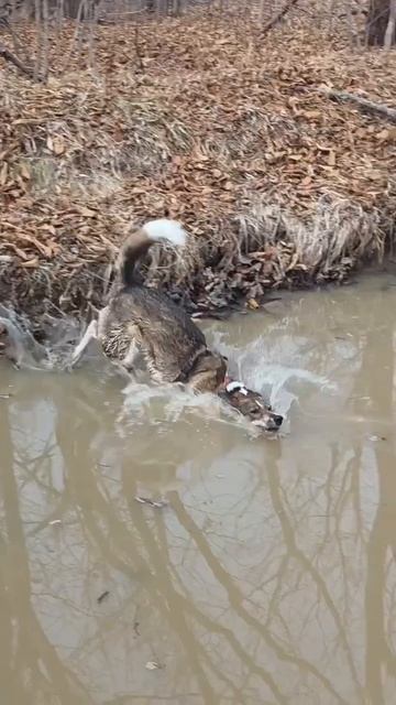 Эти глаза напротив