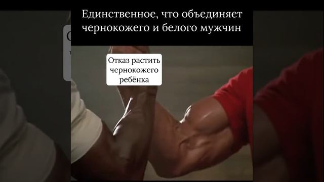 Единственное, что объединяет нас