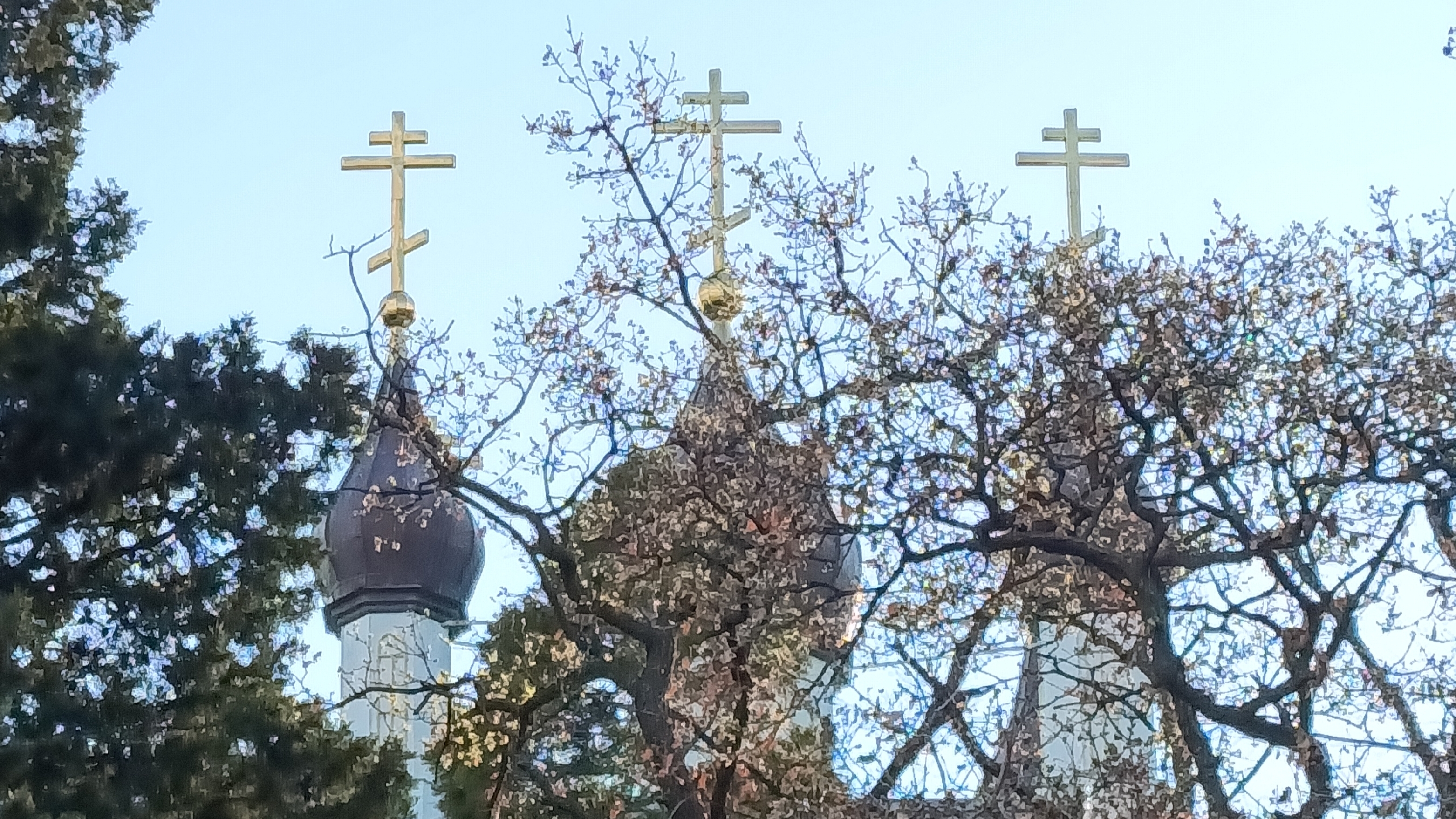 В Храме Александра Невского.Пансионат св. Луки.