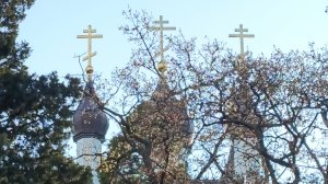 В Храме Александра Невского.Пансионат св. Луки.