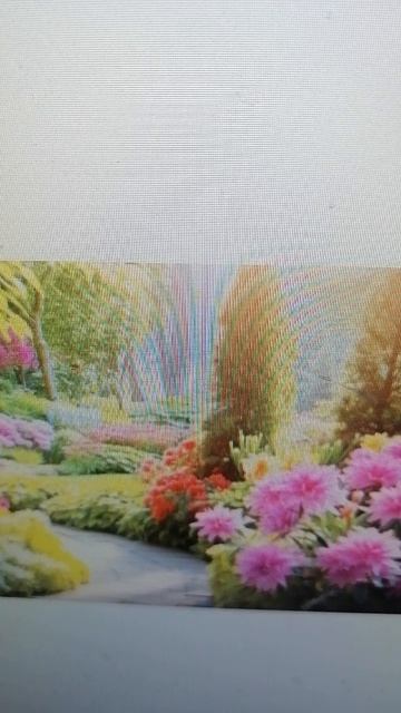 VID_20260419_092426.mp4