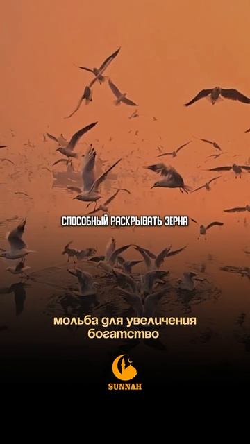 Дка для увеличения богатства!! #дуа #хадис #hadis #dua #quran