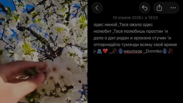 Цыганская песня душевная цитата |•👤💔🕊️