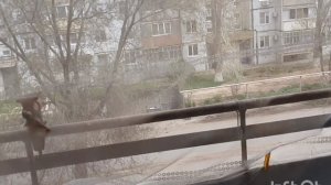 Балычок получился на славу.