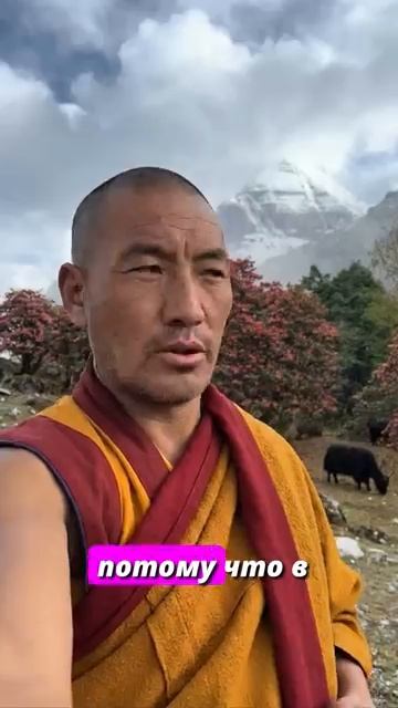 Ты выиграл спор. И остался один #mindfulness #психология #саморазвитие #мотиваци