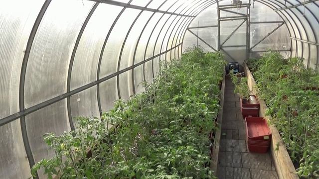 Включила подогрев грунта в теплице. Почему только сегодня? 19.04.2026.