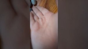 показываю камни из Сочи