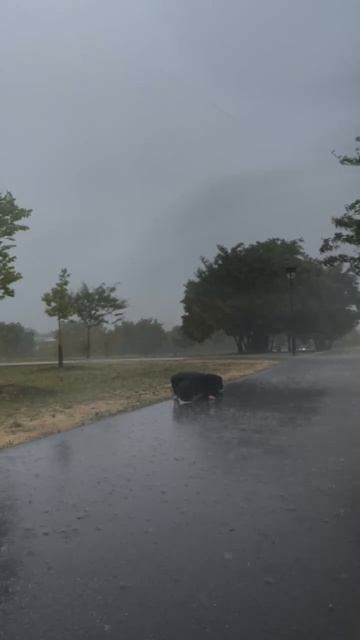 Alone With God’s Creation❤️#discipline #motivation #fypシ #viral #alone.mp4