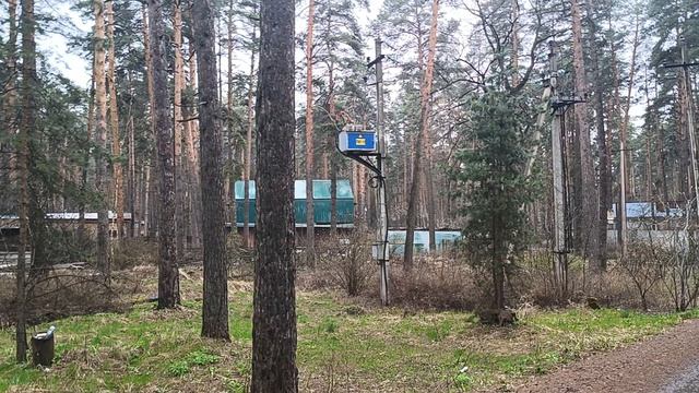 дождливое утро