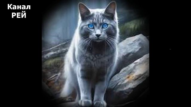 Фронтовая кошка Глуша