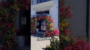 Песня: "Пенсия!"