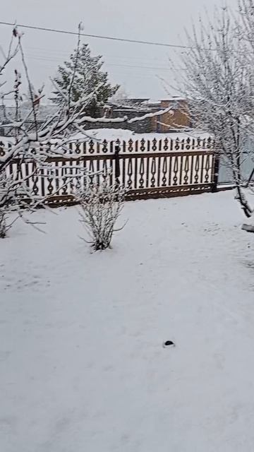 😍 Возвращение зимы! 🤪
 днём - дождь🌧️ , 
вечером - снег 🌨️ 🥴 (19.04.2026г)