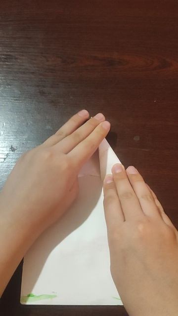 1000001444.mp4 самолётик