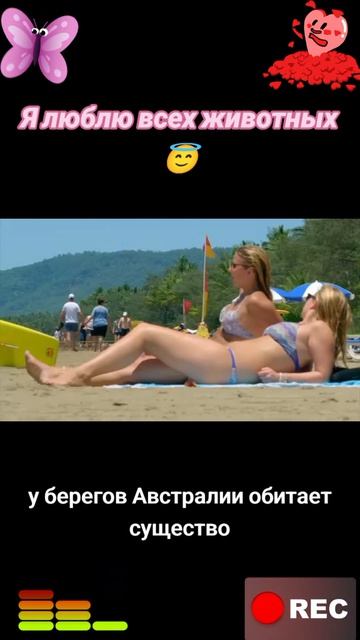 Животные приколы и не только😅