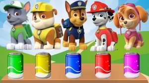 Щенячий патруль, Скай, Маршал, Эверест, Гончик, Крепышь и Зума новый сборник