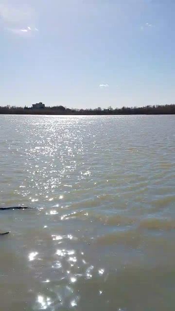 Красота 🥰  Утку вам не успели заснять