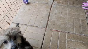VID_20260418_141847