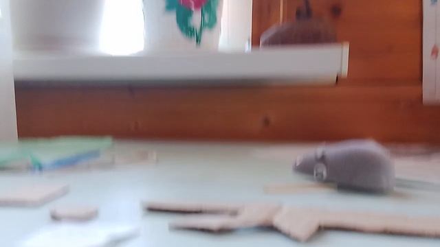 пистолетик.