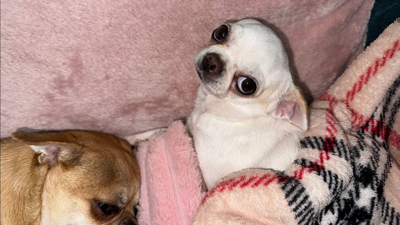 Всем самого доброго вечера и самой спокойной ночи.