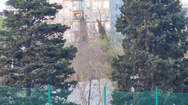 Сочи 20 лет спортивному комплексу Юг спорт