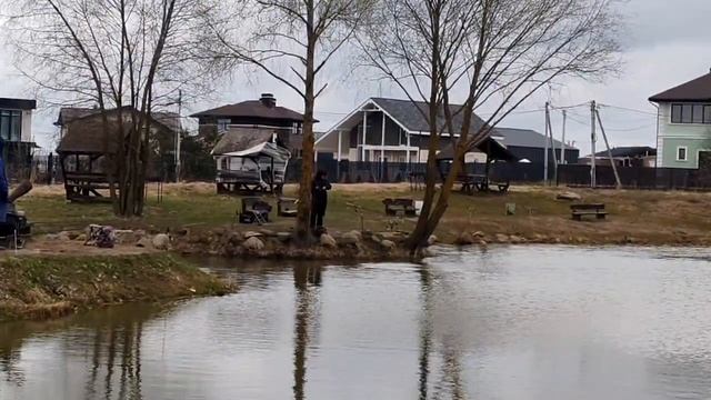 поимка форели на фидер