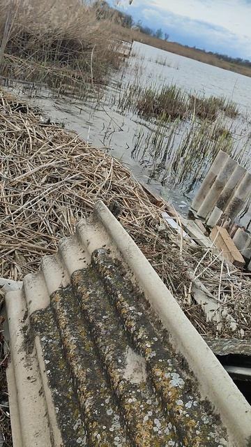 мы находим анамалию с Софией!!! Миша и майнкрафт