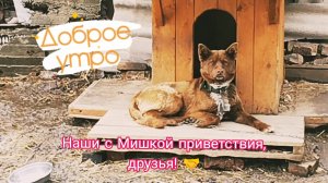 Мишка и дождь. 19-04-2026