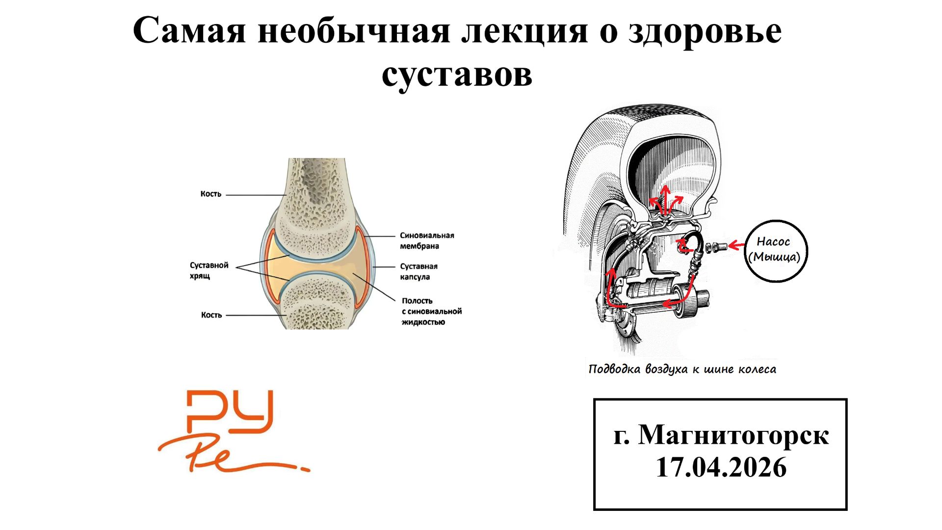Самая необычная лекция о здоровье суставово. Киселёв А.В.