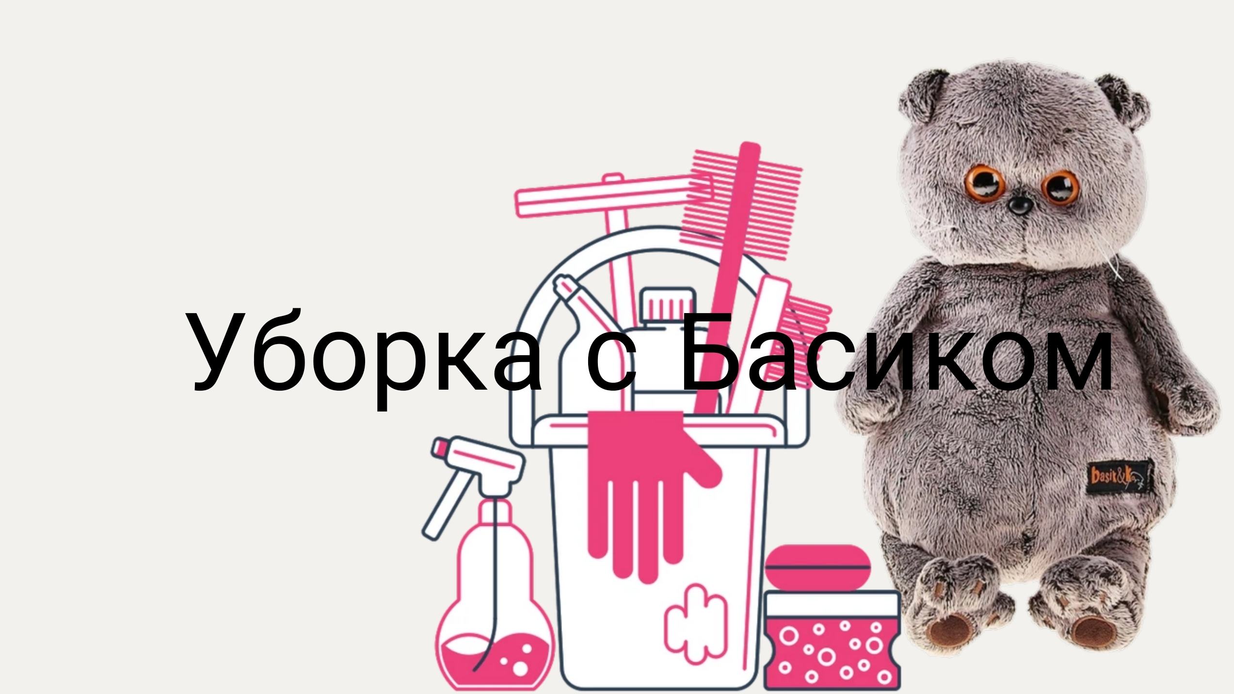 Уборка с Басиком