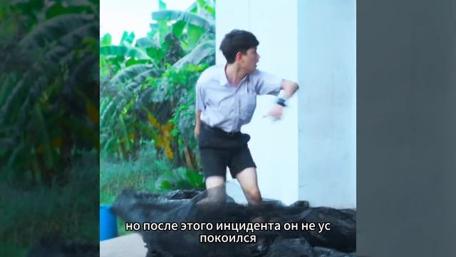 Я нашел в супе своего друга