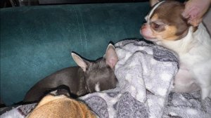 Всем наидобрейшего вечера и самой спокойной ночи.