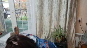 Летние женскиефутболки,распродажа,большие размеры 89038228374 вотсап,макс