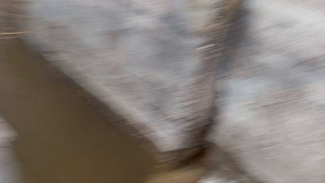 Рубрика Прогулка экскурсия