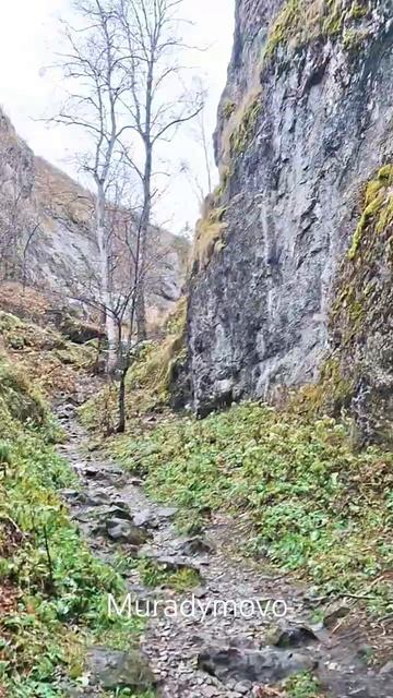 МУРАДЫМОВО_ ОСЕННИЙ ПОДЪЁМ В СЕРДЦЕ УЩЕЛЬЯ