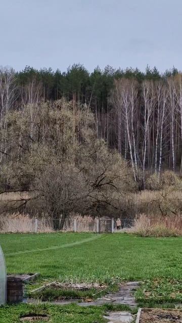 Всем доброе утро 19 Апреля 2026 год