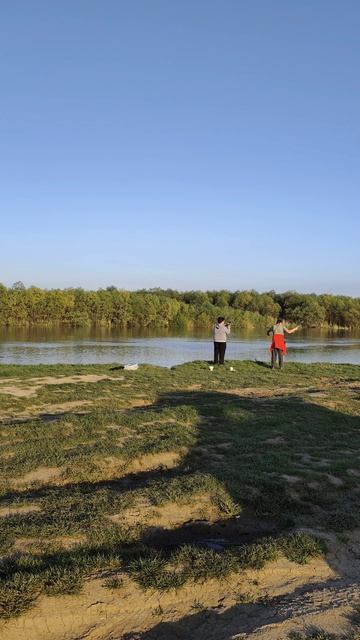 Берег Кубани