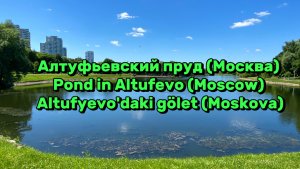 Алтуфьевский пруд (Москва)/ Pond in Altufevo (Moscow)