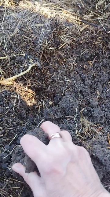 Ничего у вас не получится.