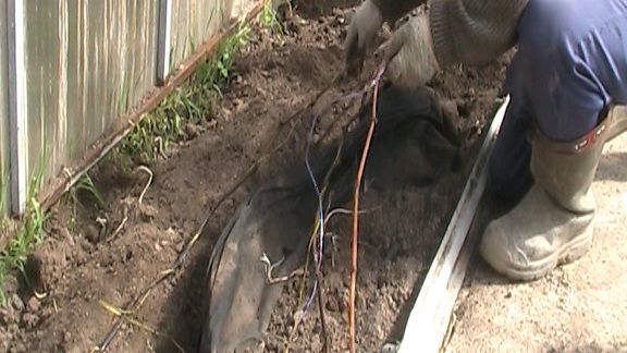 ВИНОГРАД ПОСЛЕ ЗИМЫ. РАСКРЫВАЮ. РЕЗУЛЬТАТ???