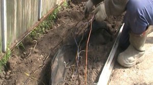 ВИНОГРАД ПОСЛЕ ЗИМЫ. РАСКРЫВАЮ. РЕЗУЛЬТАТ???