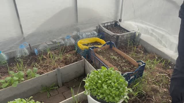 Собираемся на дачку, огородные дела.