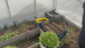 Собираемся на дачку, огородные дела.