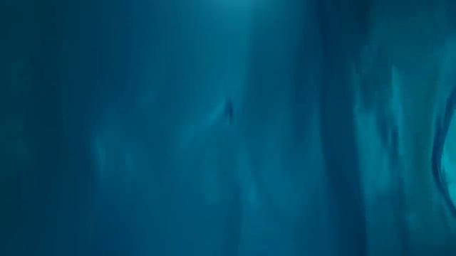 Морские Котики (SEALOOK) (6)