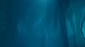 Морские Котики (SEALOOK) (6)