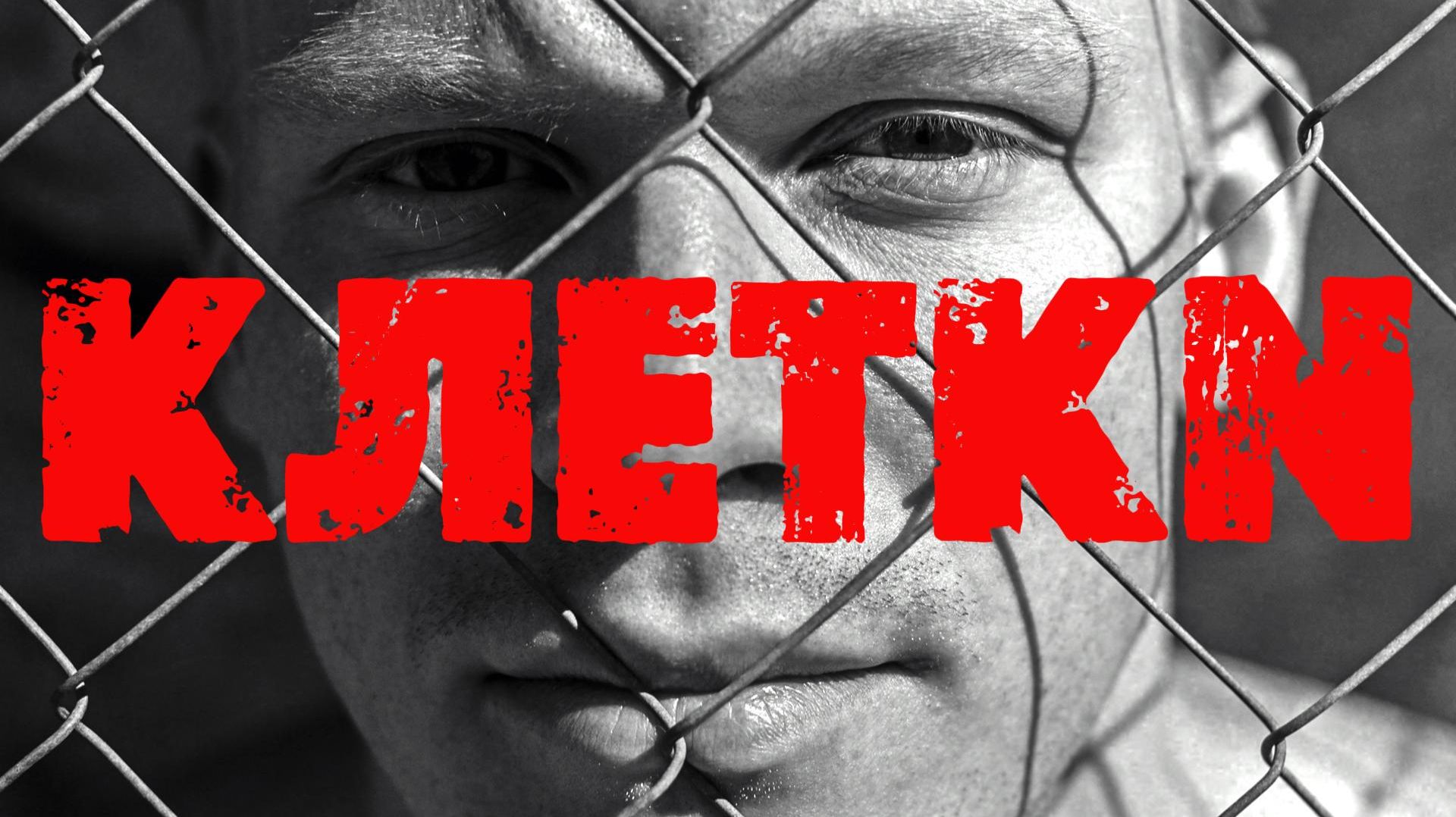 VINOGRADOV «Клетки»